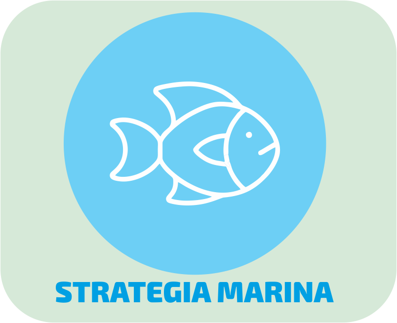 STRATEGIA MARINA