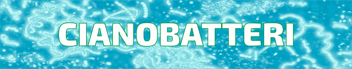 HEADER CIANOBATTERI