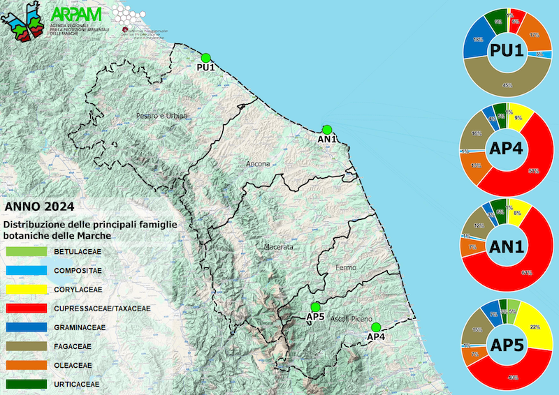 Distribuzione famiglie polliniche 2023 resized