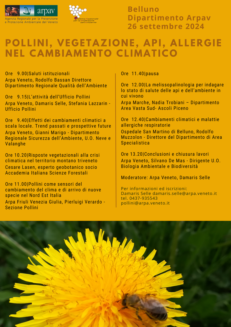 programma corso pollini belluno