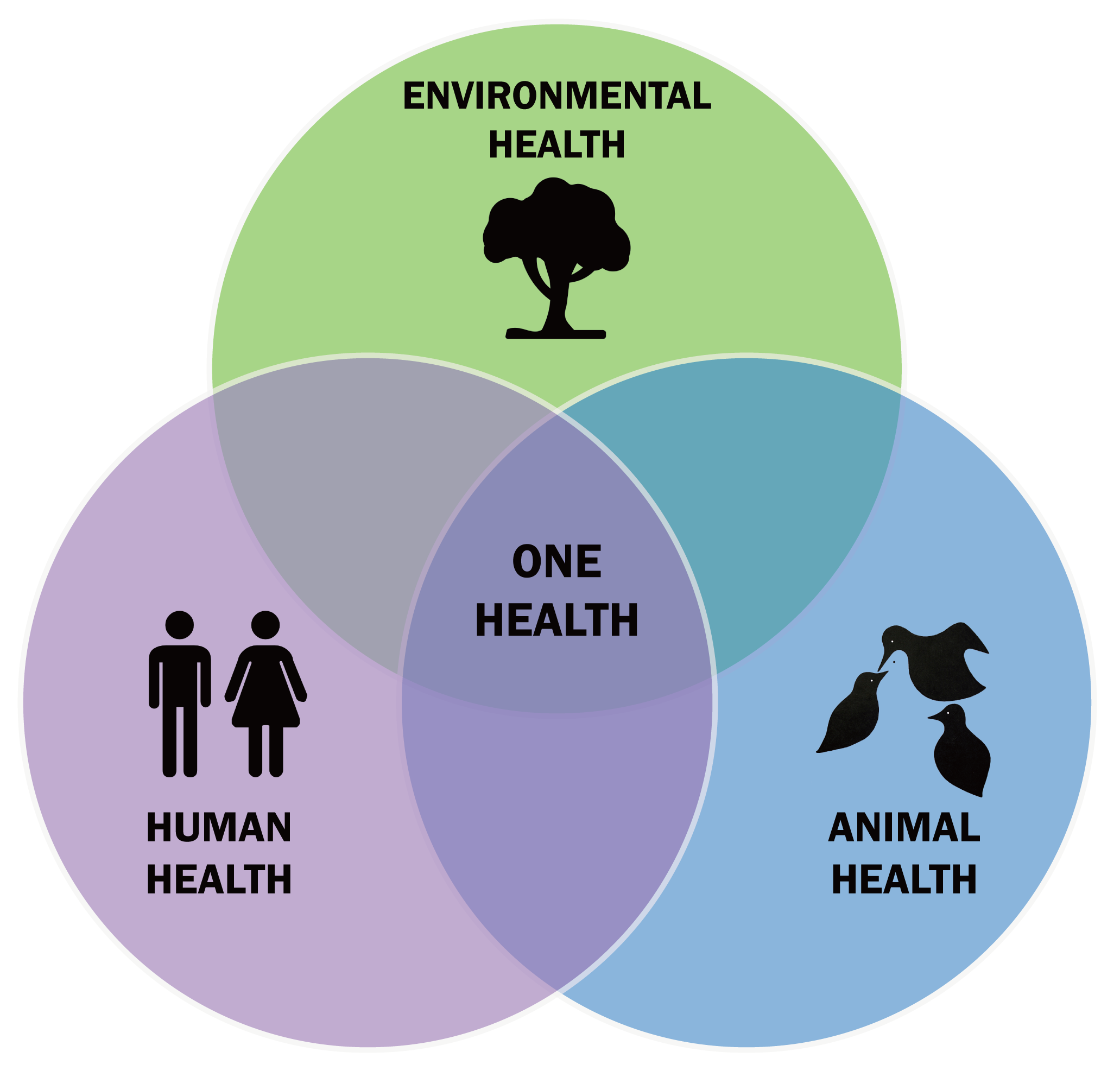 One Health Triad en